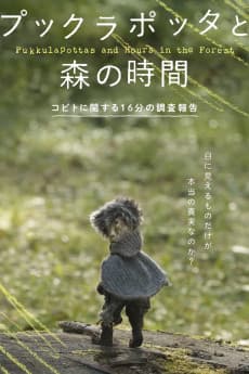 Pukkulapottas and Hours in the Forest